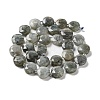 Natural Labradorite Beads Strands G-NH0004-001-3