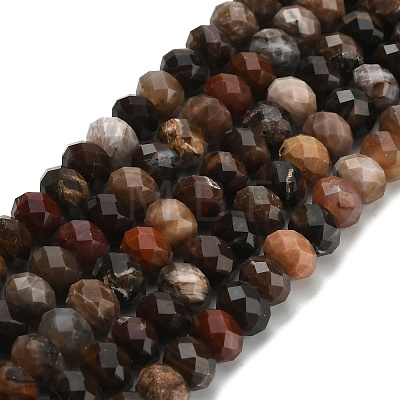 Natural Petrified Wood Beads Strands G-Z111-A50-1