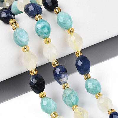 Natural Sodalite & Flower Amazonite & Lemon Quartz Beads Strands G-N358-04A-07-1