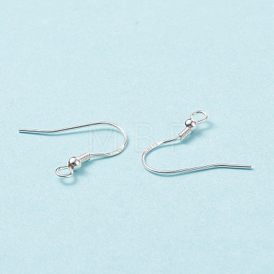 925 Sterling Silver Earring Hooks STER-G011-16-1