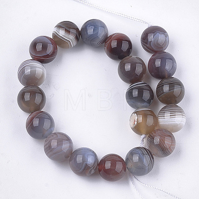 Natural Botswana Agate Beads Strands G-S333-10mm-026-1