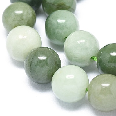 Natural Jadeite Beads Strands G-G789-01D-1
