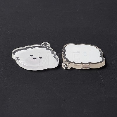 Transparent Acrylic Pendants X-TACR-G038-03B-1