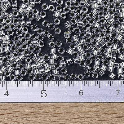 MIYUKI Delica Beads Small X-SEED-J020-DBS0041-1