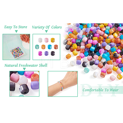 300Pcs 10 Colors Natural Freshwater Shell Beads SHEL-TA0001-06-1