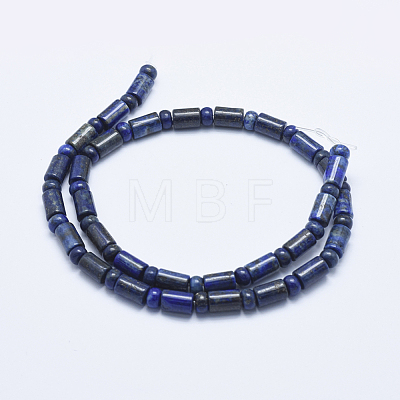 Natural Lapis Lazuli Beads Strands G-E444-24-1