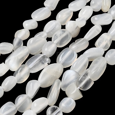 Natural White Moonstone Beads Strands G-P601-A18-02-1