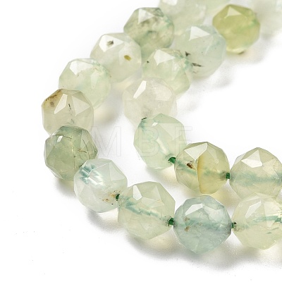 Natural Prehnite Beads Strands G-K323-18-1