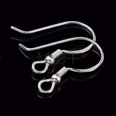 925 Sterling Silver Earring Hooks STER-G011-02-1
