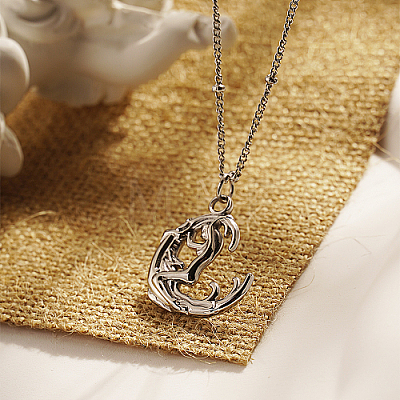 Stainless Steel Pendant Necklaces KM9071-2-1