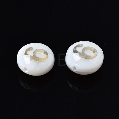 Natural Freshwater Shell Beads SHEL-N003-20-06-1