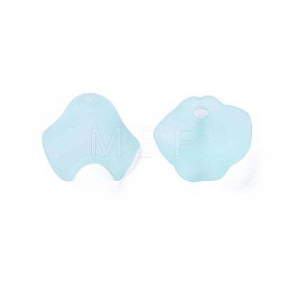 Transparent Acrylic Beads MACR-S373-106-D04-1