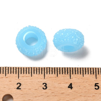 Resin European Beads RESI-B020-04B-1
