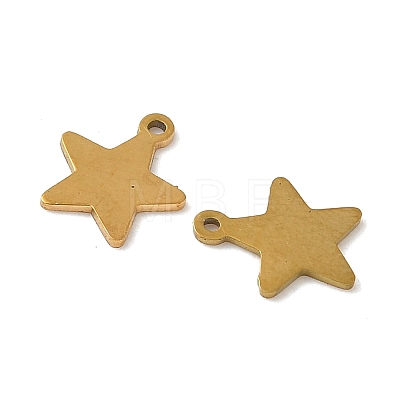 304 Stainless Steel Charms STAS-K306-15C-G-1