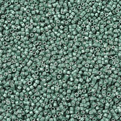 MIYUKI Delica Beads SEED-MY11-DB1171-1