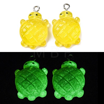 Gradient Color & Luminous Opaque Resin Pendants RESI-S011-01H-1