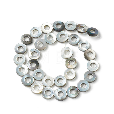 Natural Black Lip Shell Beads Strands SHEL-F004-15-1