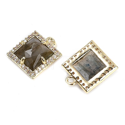 Natural Labradorite Faceted Square Charms G-I375-06G-08-1