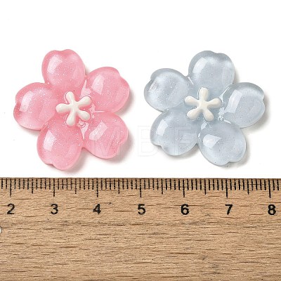 Resin Decoden Cabochons RESI-Q231-09-1