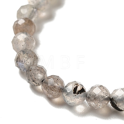 Natural Labradorite Beads Strands LS-G-I341-11-1