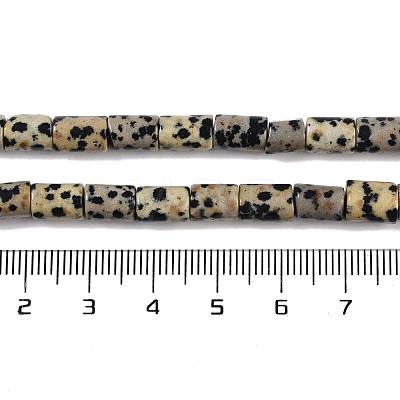 Natural Dalmatian Jasper Beads Strands G-C128-A18-01-1