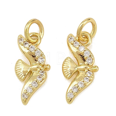 Brass Micro Pave Clear Cubic Zirconia Charms KK-D218-24G-03-1