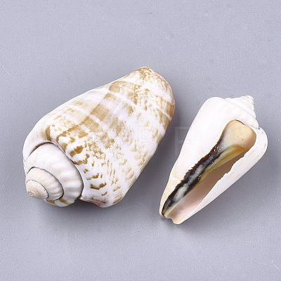 Natural Spiral Shell Red Lip Shell Beads SSHEL-S258-47-1