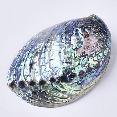 Natural Abalone Shell/Paua Shell Display Decoration SSHEL-N0334-01-1