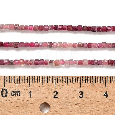 Gradient Color Natural Pink Tourmaline Beads Strands G-K373-A03-01-1