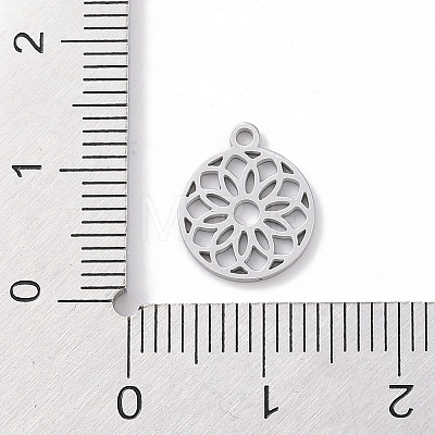 Non-Tarnish 304 Stainless Steel Charms STAS-K286-01E-P-1