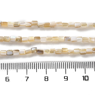 Natural Freshwater Shell Beads Strands SSHEL-B002-17-1
