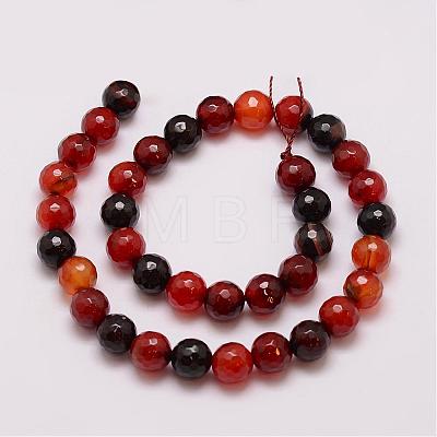 Natural Striped Agate/Banded Agate Bead Strands G-G882-10mm-D03-1-1