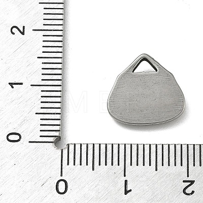 304 Stainless Steel Charms STAS-P422-11P-1