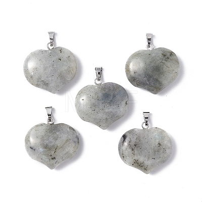 Natural Labradorite Pendants G-G956-D01-1