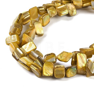 Dyed Natural Freshwater Shell Beads Strands SHEL-P016-01F-1