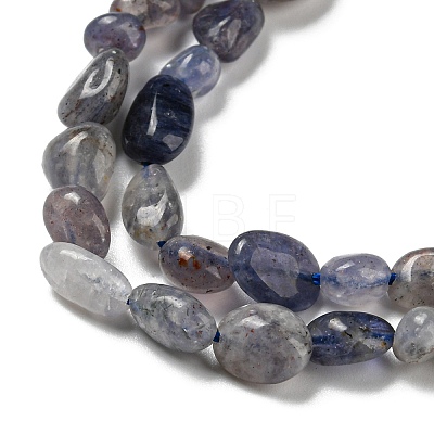 Natural Iolite Beads Strands G-P497-01A-13-1