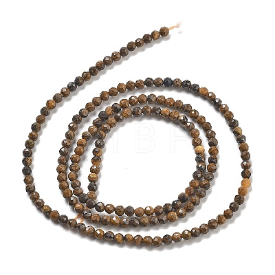 Natural Tiger Iron Beads Strands G-B120-A01-01-1