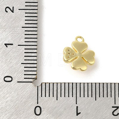 Rack Plating Brass Micro Pave Cubic Zirconia Charms KK-S396-65G-1