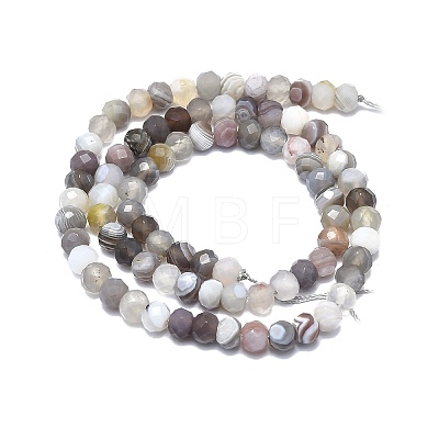 Natural Botswana Agate Beads Strands G-F715-100-1