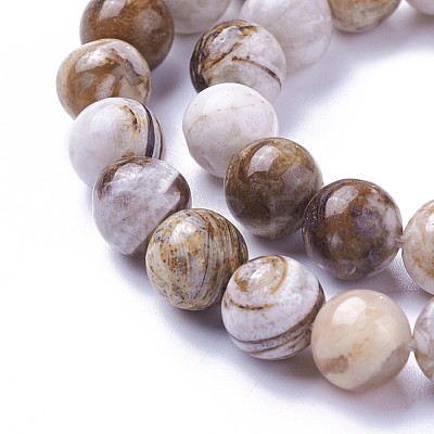 Natural America Petrified Wood Beads Strands G-P430-08-C-1