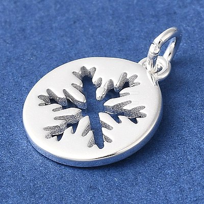 925 Sterling Silver Charms STER-M120-01E-S-1