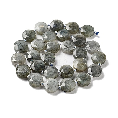 Natural Labradorite Beads Strands G-NH0004-001-1