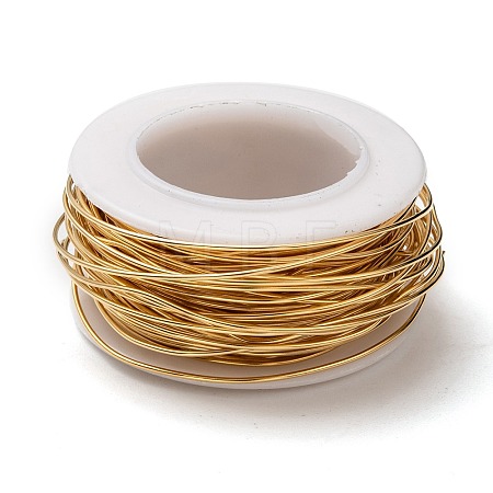 304 Stainless Steel Wire STAS-T004-09-1