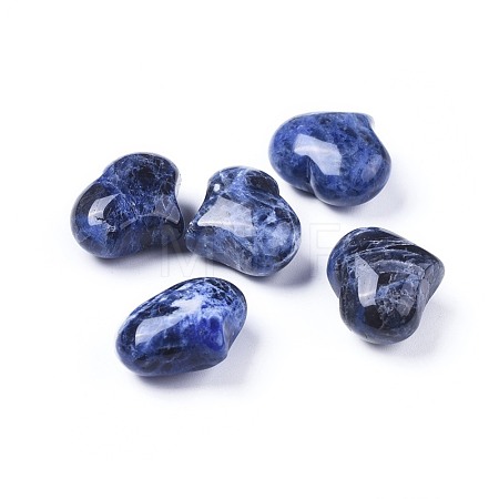 Natural Sodalite Heart Palm Stone G-F659-A05-1