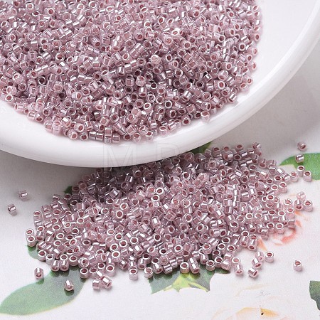 MIYUKI Delica Beads SEED-J020-DB0256-1