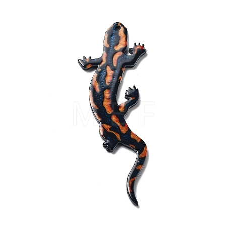 Acrylic Pendants OACR-I016-10-1