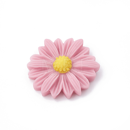 Resin Cabochons CRES-N007-10D-1