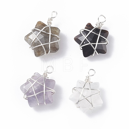 Natural Gemstone Pendants PALLOY-JF01457-02-1