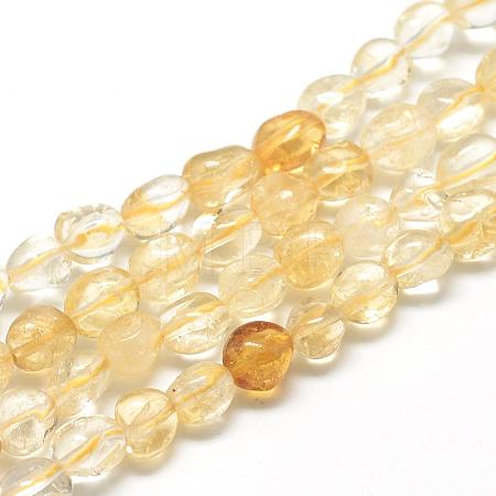 Natural Citrine Beads Strands G-R445-6x8-16-1