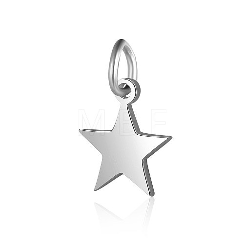 201 Stainless Steel Charms STAS-S105-T554D-8-1-1